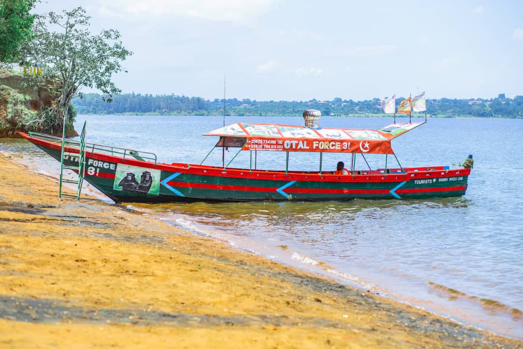 Otal Force Boats - image